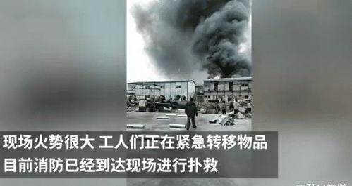 哈尔滨爆料事件始末视频  第3张